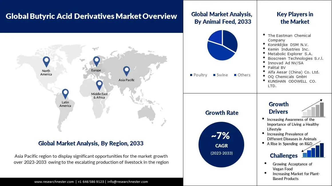 Butyric Acid Derivatives Market